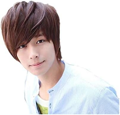 boy Short straight wigs for men brown 30cm